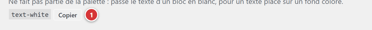 Le bouton de copie de la classe text-white